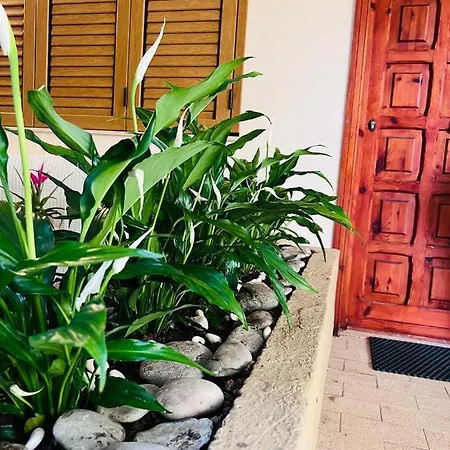 Sirina House تاورمينا